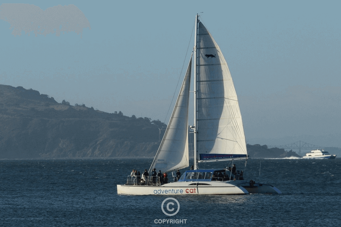 Navigating open waters, the boat moves steadily toward the horizon—capturing ambition, momentum, and the pursuit of success.