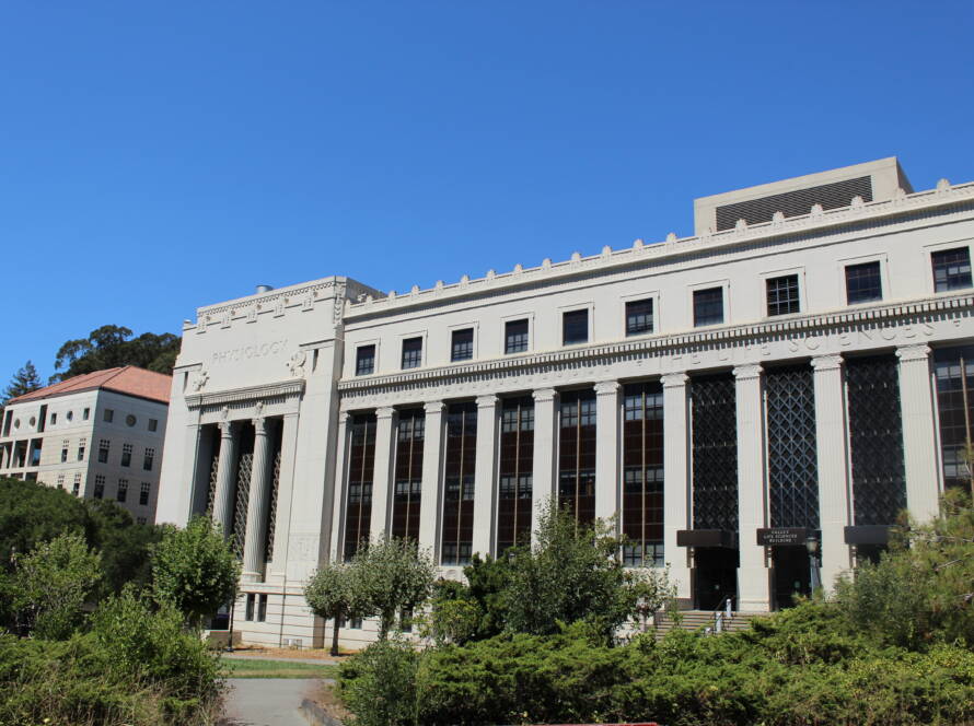 Hero image of a classical academic building symbolising institutional insight and strategic foundations for SME growth.