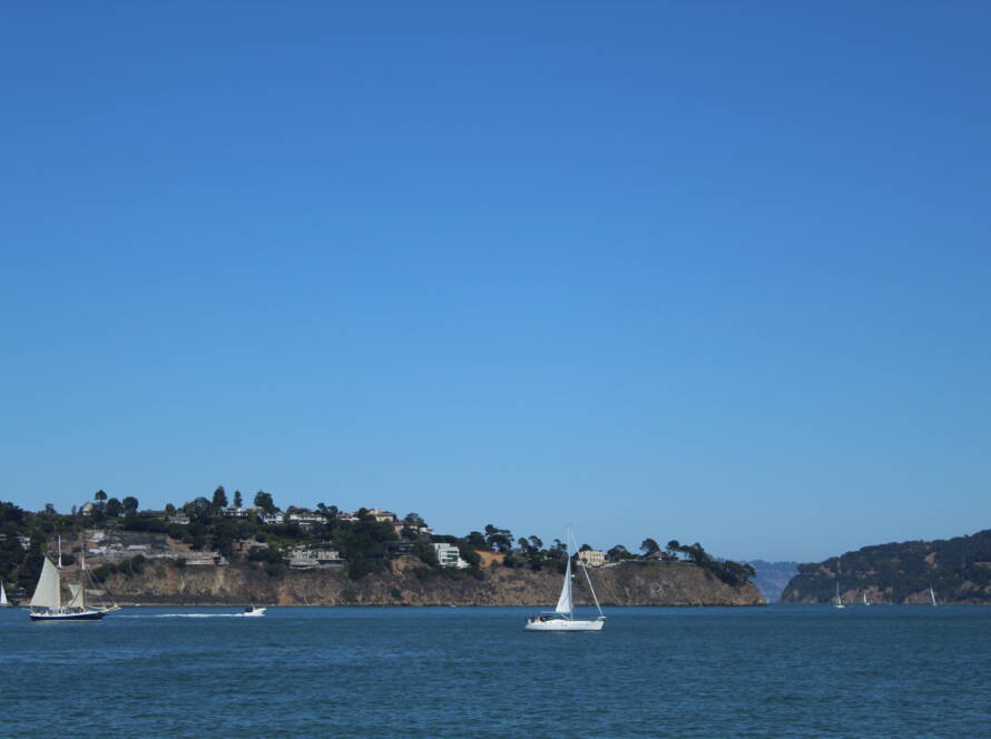 HERO image of two sailboats navigating a calm coastline, symbolising SME buyers building strong, growing businesses with strategic momentum and sustainable competitive advantage.